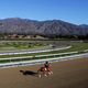 Image for article titled Horse Euthanized At Santa Anita Just Two Days Into Racing Season